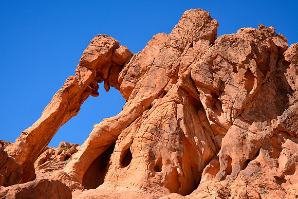 Elephant Rock, Valley of Fire State Park