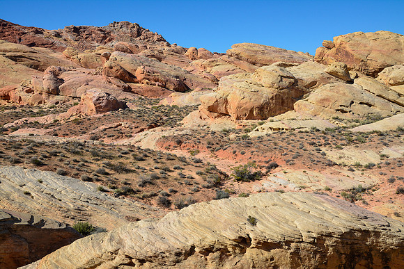 View from the wash below Rainbow Vista, Valley of Fire State Park
