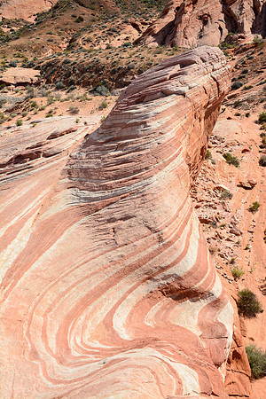 The Fire Wave, Valley of Fire State Park