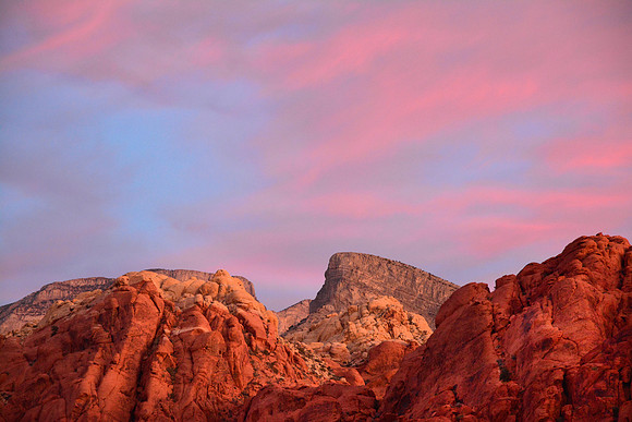 Sunrise on the Calico Hills with Turtlehead Peak in the distance, Red Rock Canyon National Conservation Area