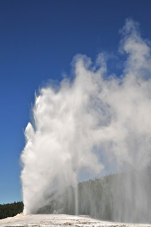 Old Faithful, Yellowstone National Park