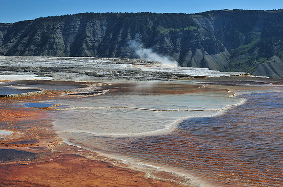 Mammoth Hot Springs, Yellowstone National Park