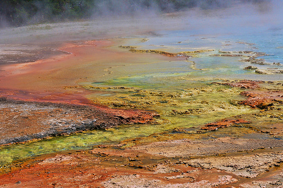 Excelsior Geyser, Midway Geyser Basin, Yellowstone National Park