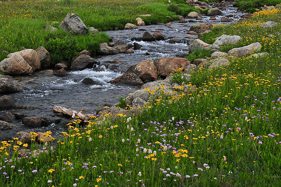 Washakie Creek, Wind River Range