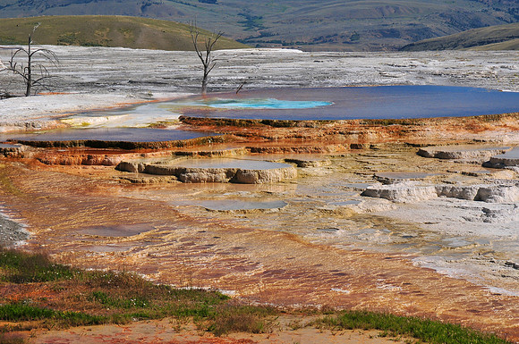 Mammoth Hot Springs, Yellowstone National Park