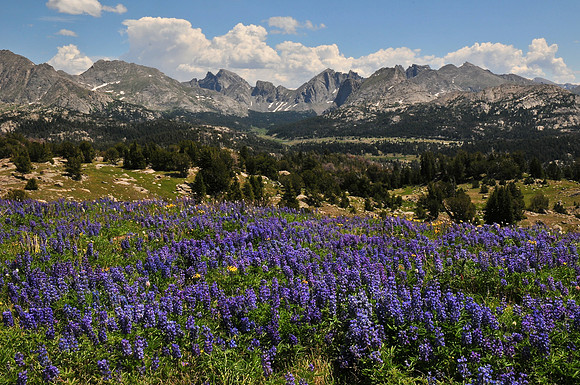 Looking towards the Cirque of the Towers from the plateau west of Mount Geikie, Wind River Range