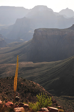 View from the South Kaibab Trail below O'Neill Butte