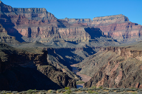 The Colorado River from the east side of Salt Creek
