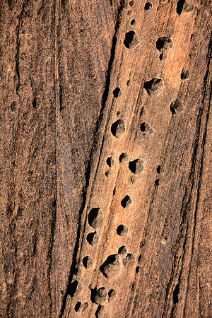 Patterns in rock