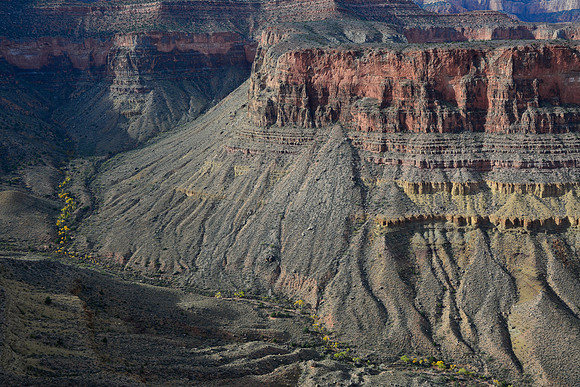 Cottonwood Canyon from the northwest arm of Horseshoe Mesa