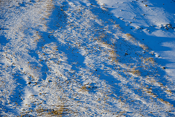 Evening light on the slope northeast of Laguna Ajwani