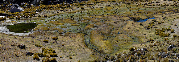 Marshy terrain in the Sanja Valley
