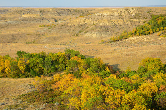 The Kildeer Badlands, East Block