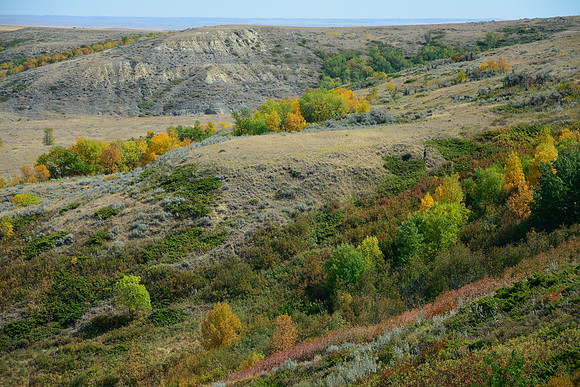 The Kildeer Badlands, East Block