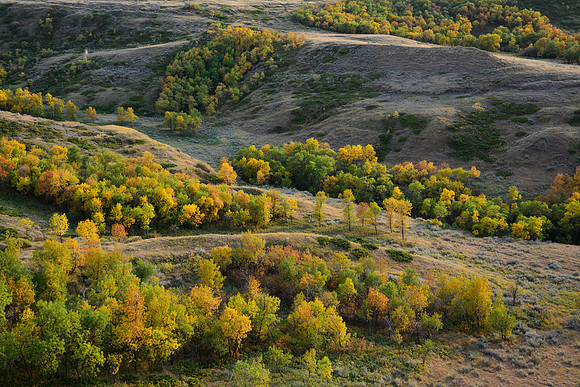The Kildeer Badlands, East Block