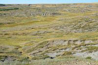 The valley west of Ecotour Road Stop #2, West Block