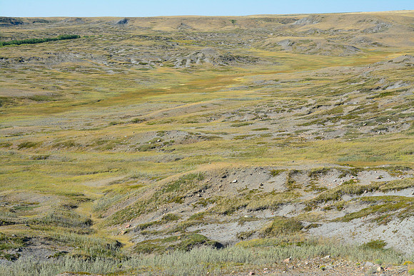 The valley west of Ecotour Road Stop #2, West Block