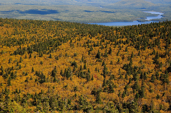 The view from Mount Head, Mount Carleton Provincial Park, New Brunswick