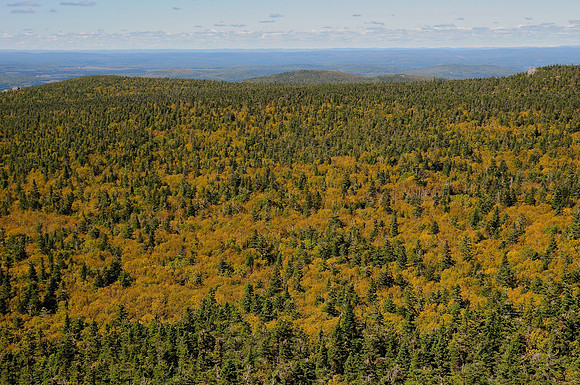 The view from Mount Carleton, Mount Carleton Provincial Park, New Brunswick