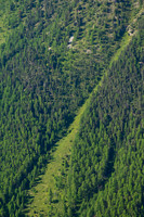 An avalanche path on the slopes above the Vallée du Cristillan