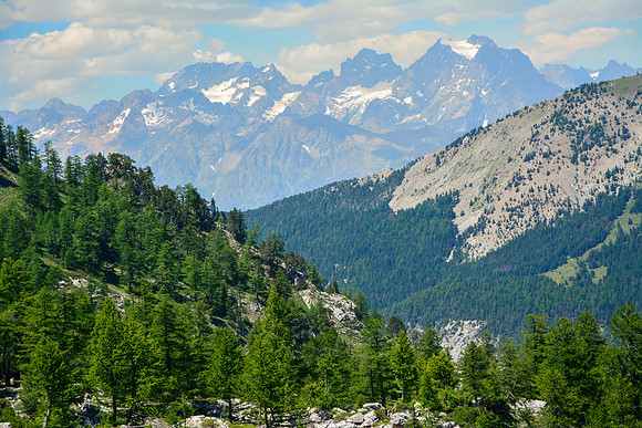 The Écrins from the Col de Moussière