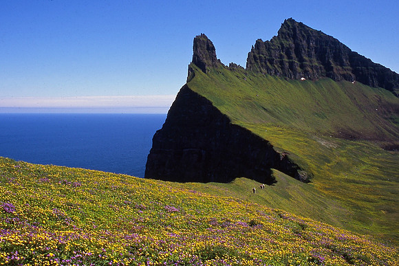 Kalfatindar and the Hornbjarg bird cliffs, Hornstrandir Nature Reserve