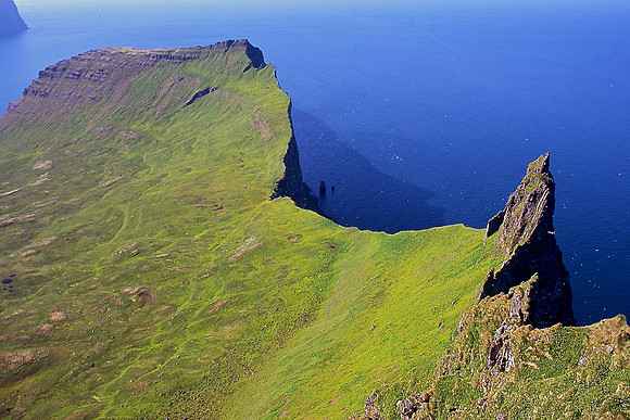 Looking down the Hornbjarg bird cliffs from Kalfatindar, Hornstrandir Nature Reserve