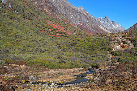 Looking up the Yangseb Chu from Yangseb