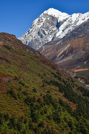 Pandim en route from Tangshing back to Dzongri