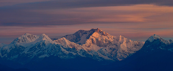 Kabru, Kangchenjunga and Pandim at sunrise from Observatory Hill, Darjeeling