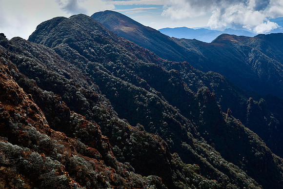 Looking back along the Singalila Ridge en route from Dhor to Paharay Megu