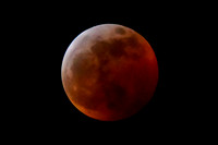 Total Lunar Eclipse (January 20-21, 2019)