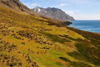 Fortuna Bay