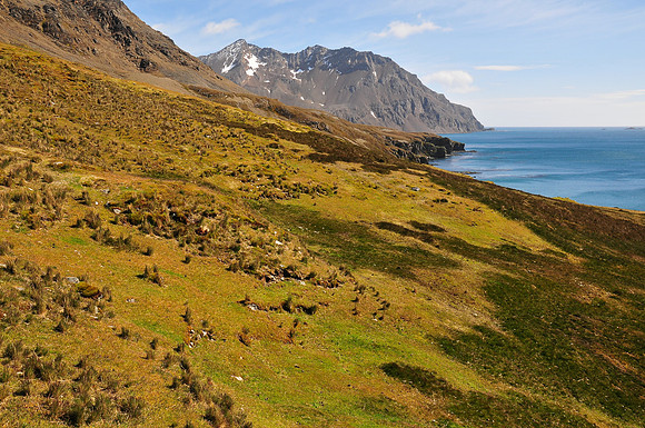 Fortuna Bay