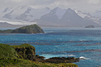 South Georgia from Prion Island