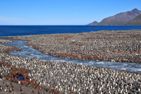 Antarctica and the Southern Ocean