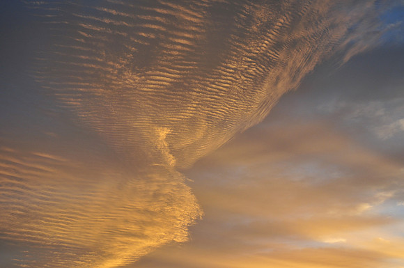 Gold Harbour sunrise