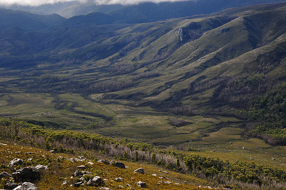 The Arthur Plains from Alpha Moraine, Western Arthur Range, Southwest National Park