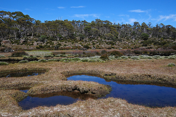 An unnamed creek southeast of Lake Ball, Walls of Jerusalem National Park