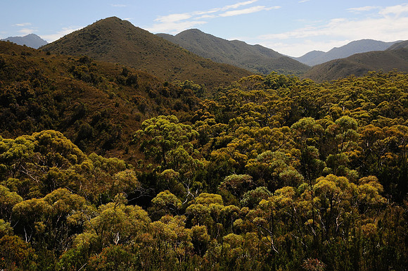 The valley of Faraway Creek, South Coast Track, Southwest National Park