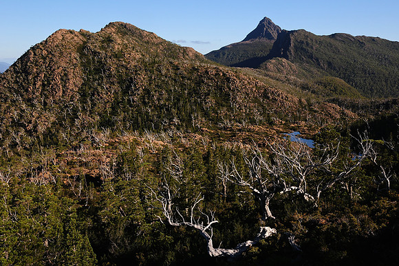 Mount Gould and Cyane Lake, The Labyrinth, Cradle Mountain-Lake St. Clair National Park