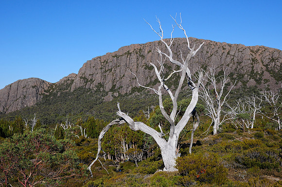Mount Jerusalem, Walls of Jerusalem National Park