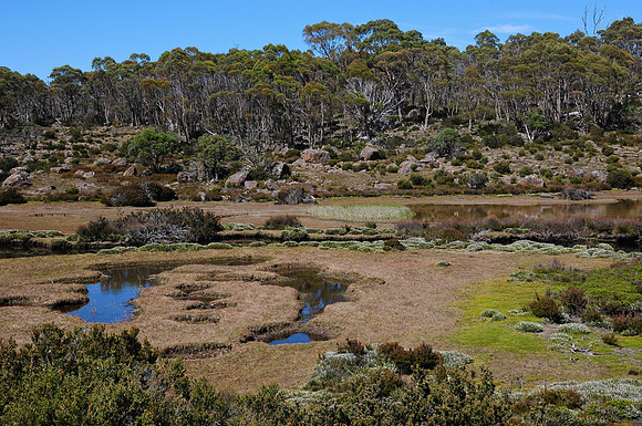 An unnamed creek southeast of Lake Ball, Walls of Jerusalem National Park