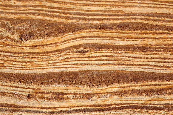 The Painted Cliffs, Maria Island National Park
