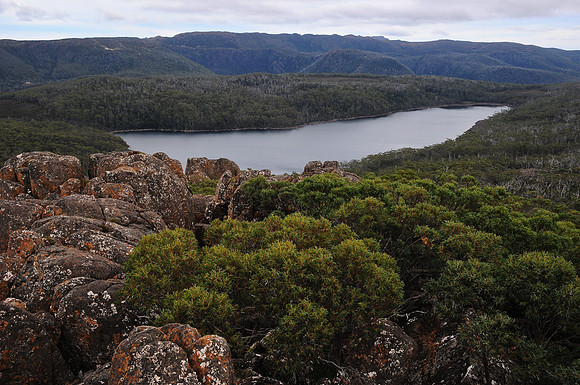 Lake Fenton from Seager's Lookout, Mount Field National Park