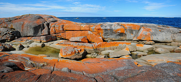 The Gardens, Bay of Fires Conservation Area