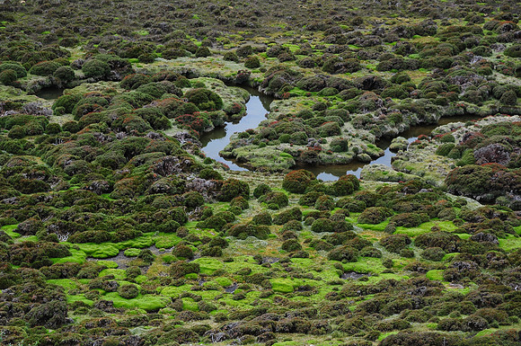 Herod's Gate, Walls of Jerusalem National Park