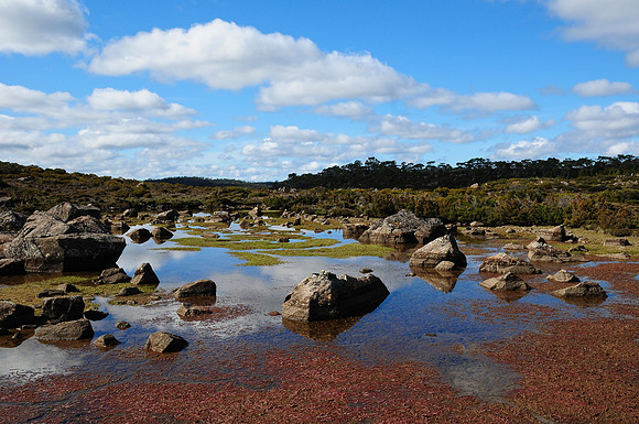 The southern end of the Long Tarns, Walls of Jerusalem National Park