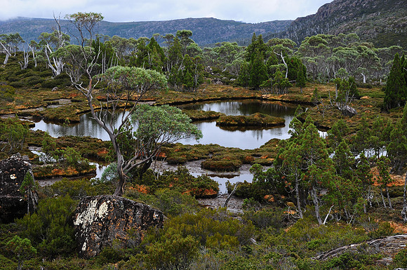 An unnamed lake northeast of Mount Jerusalem, Walls of Jerusalem National Park