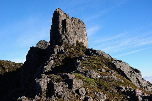 The ridge above Lake Cygnus, Western Arthur Range, Southwest National Park
